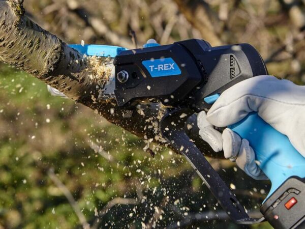 Potatore elettrico T-Rex Campagnola