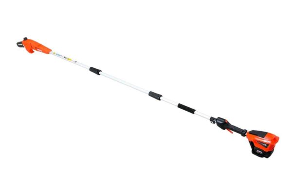 Potatore elettrico su asta DPPF-310 Echo