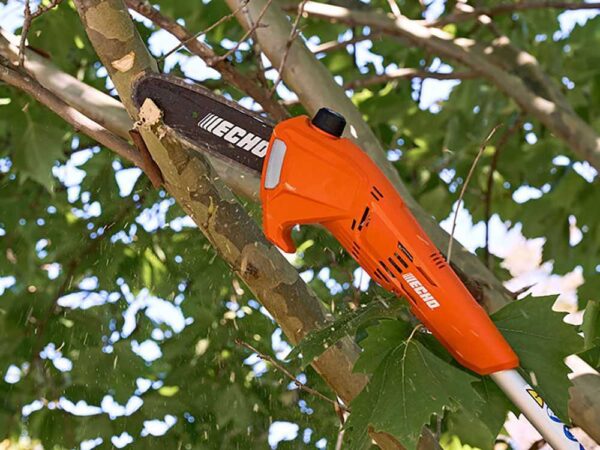 Potatore elettrico su asta DPPF-310 Echo