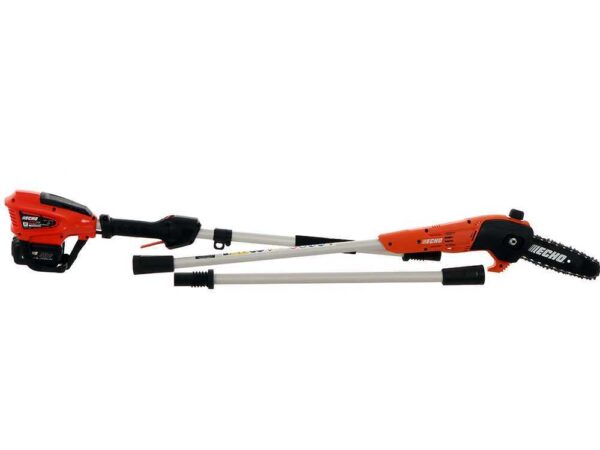Potatore elettrico su asta DPPF-310 Echo