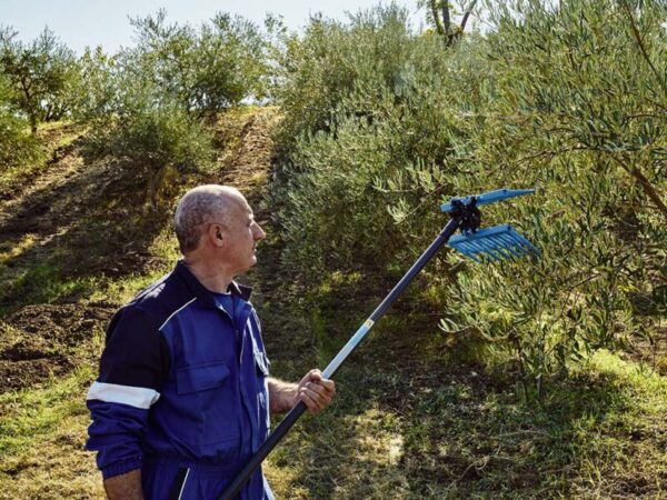 Abbacchiatore pneumatico Diablo Campagnola