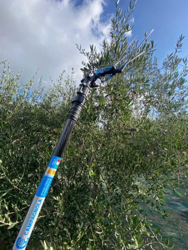 Abbacchiatore elettrico Icarus V1 Eco Plug-in