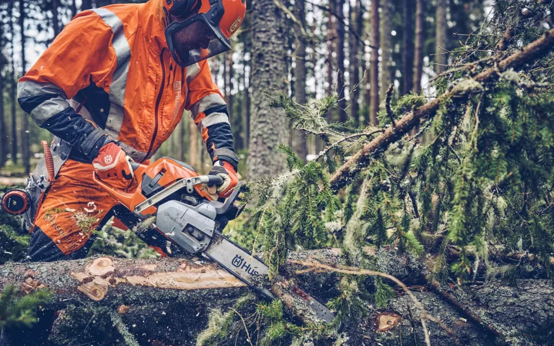 Acquista on-line motoseghe e potatori, Agrievolution la tua ferramenta on-line