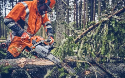 Acquista on-line motoseghe e potatori, Agrievolution la tua ferramenta on-line