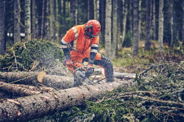 Motosega Husqvarna 560 XP Mark II - immagine 3