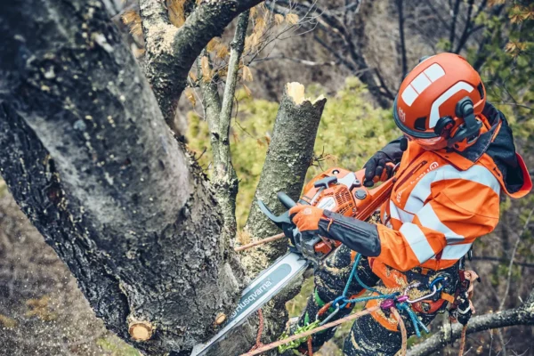 Motosega Husqvarna 560 XP Mark II - immagine 6