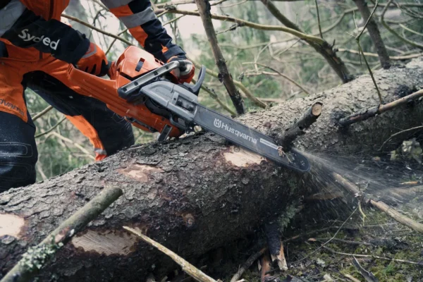 Motosega Husqvarna 572 XP - immagine 2