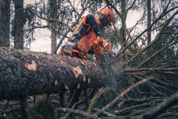 Motosega Husqvarna 592 XP - immagine 5