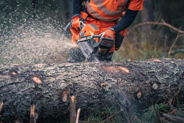 Motosega Husqvarna 592 XP - immagine 6