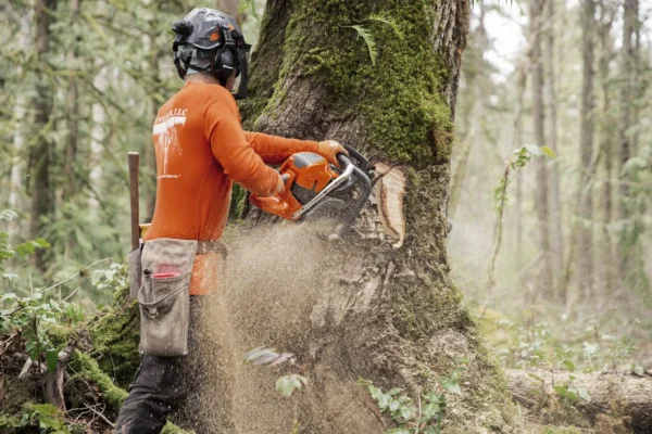 Motosega Husqvarna 592 XP - immagine 7
