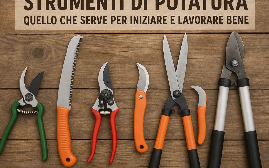 Strumenti di Potatura: Quello Che Serve per Iniziare e Lavorare Bene