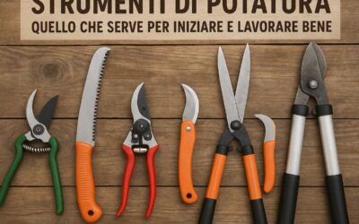Strumenti di Potatura: Quello Che Serve per Iniziare e Lavorare Bene