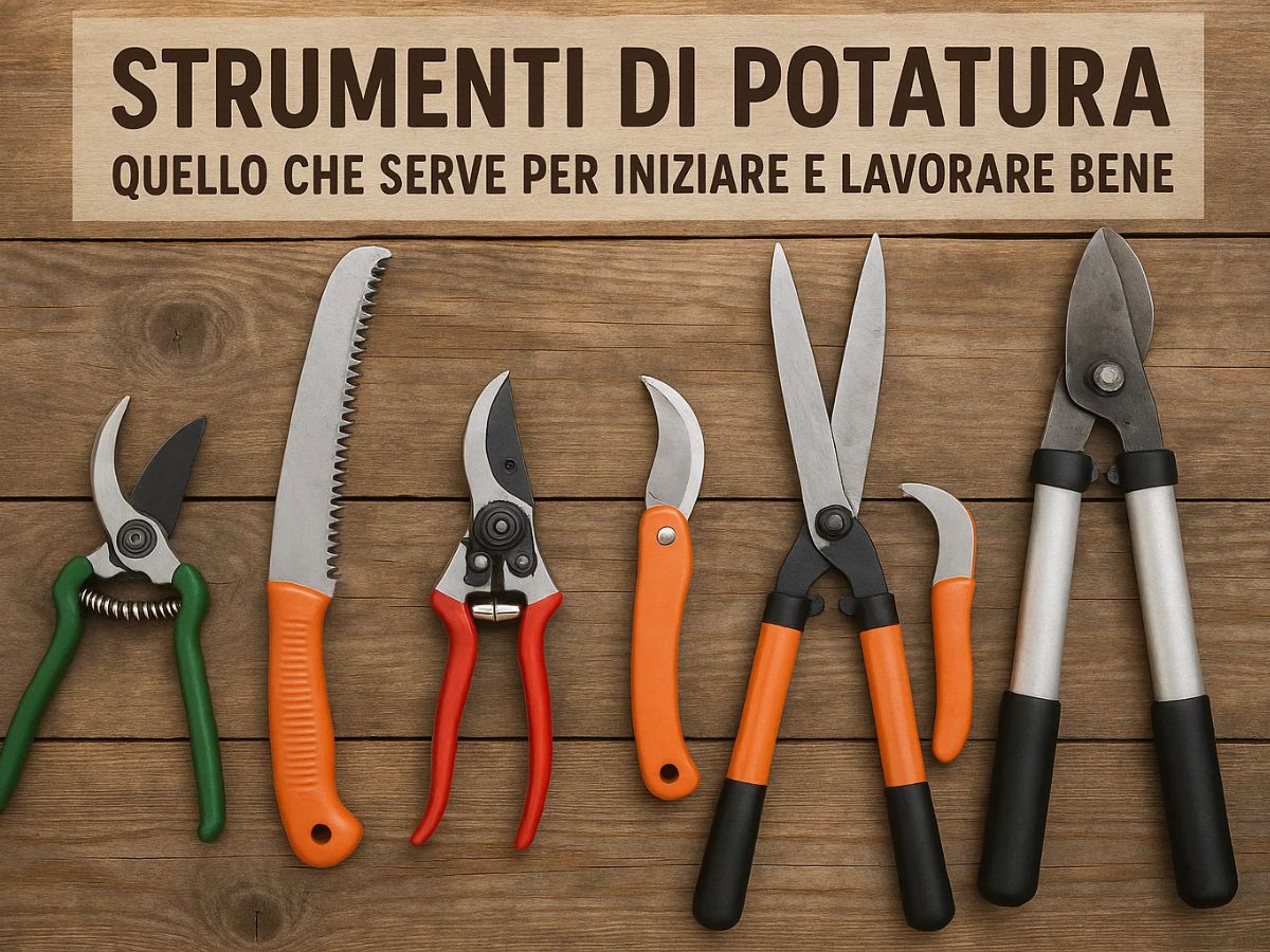 Strumenti di Potatura