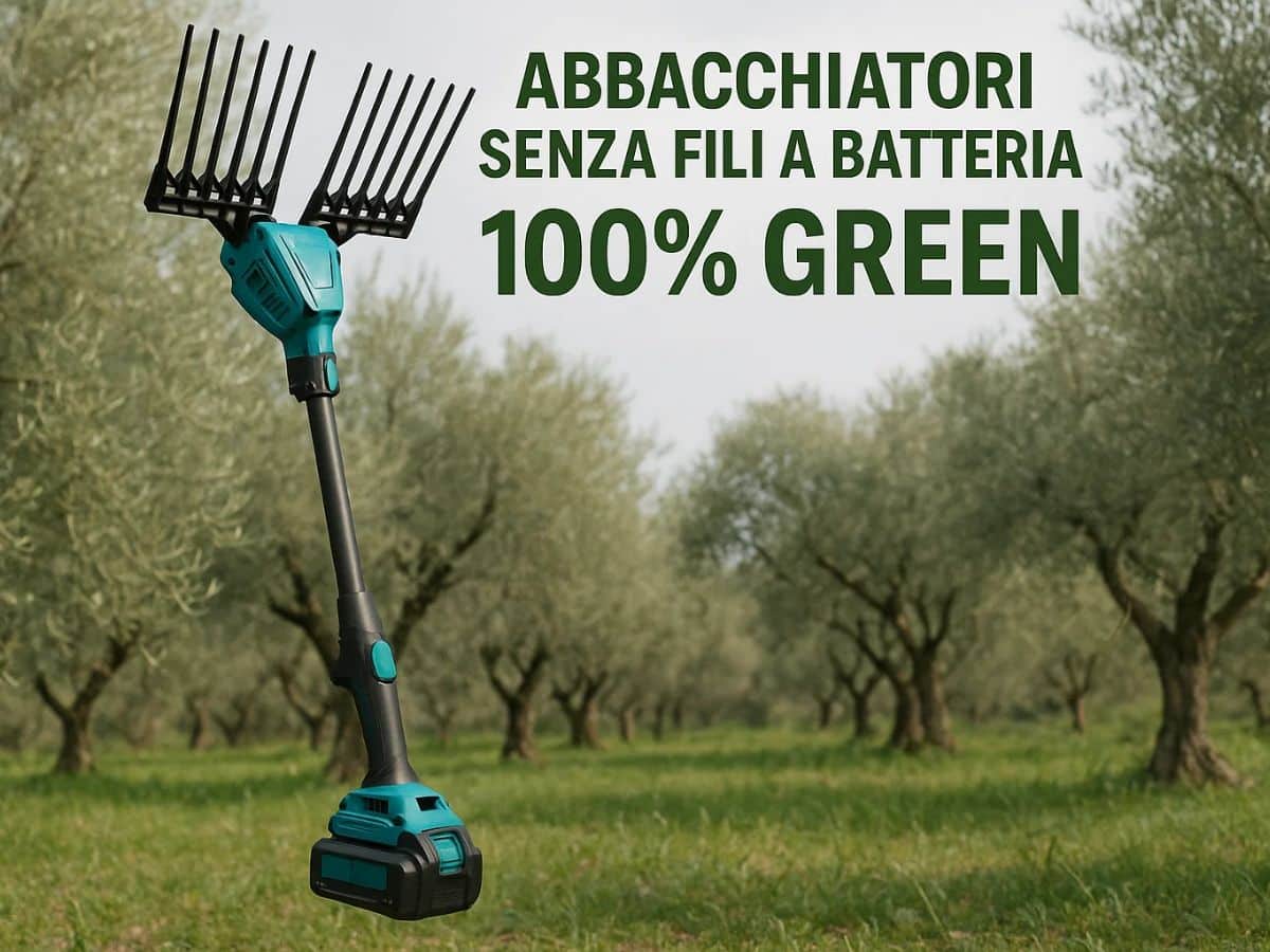 Abbacchiatori a batteria