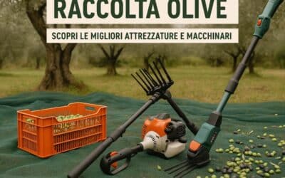 Raccolta Olive, scopri le migliori attrezzatura e macchinari