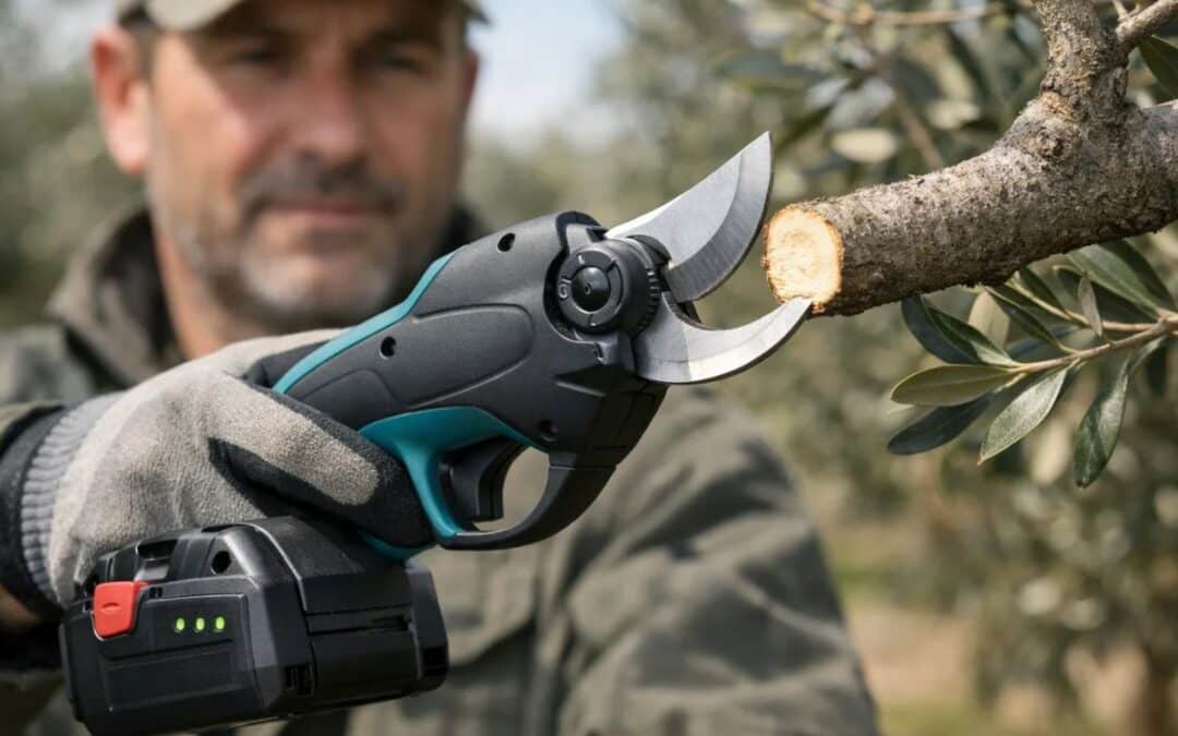 Forbici elettriche da potatura a batteria