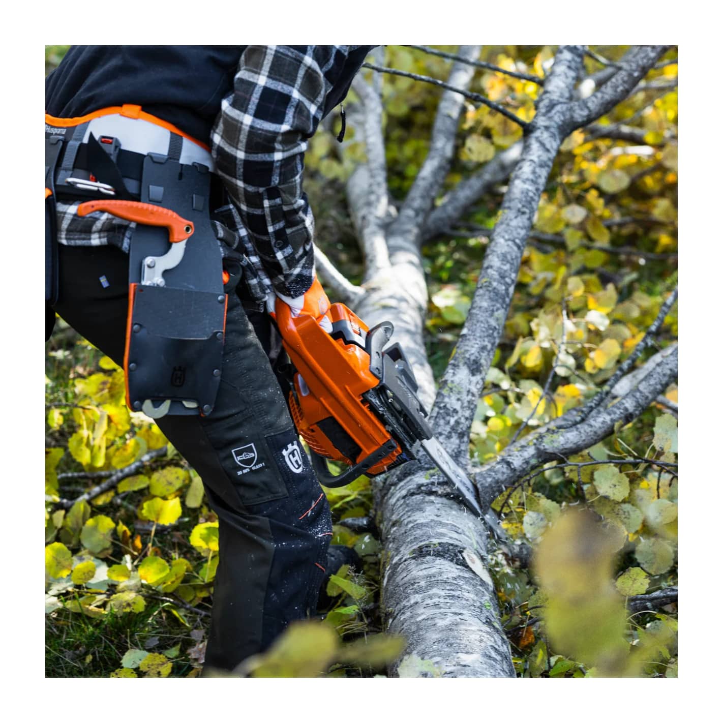 Motosega Husqvarna 445 S